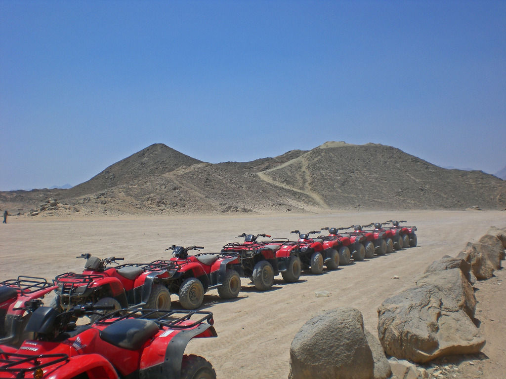 Panorama Semi Submarine & 3 Hours Safari Hurghada 2026