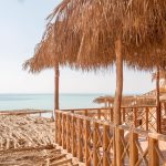 Gallery Thumbnail 10