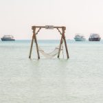 Gallery Thumbnail 11