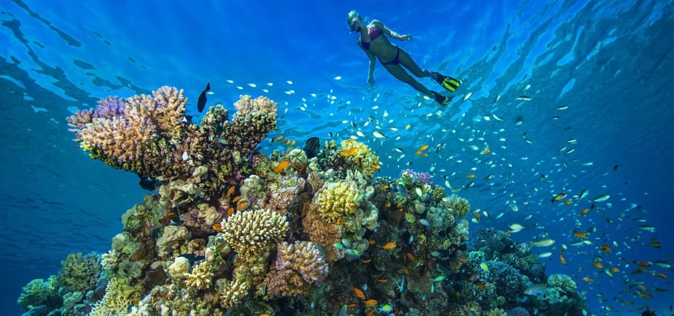 Orange Bay Hurghada beach Red Sea