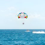 Gallery Thumbnail 6