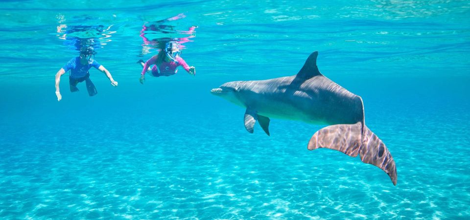 Private Speed Boat Hurghada Dolphin Snorkeling Tour