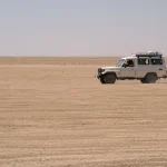 Gallery Thumbnail 0