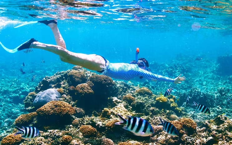 Private Speed Boat Hurghada Dolphin Snorkeling Tour