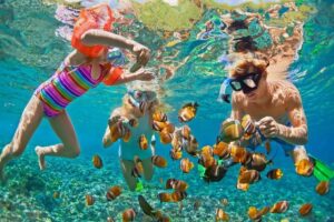 Snorkeling in Hurghada Red Sea clear water