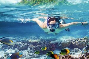 Snorkeling trip to Orange Bay and Giftun Island Hurghada