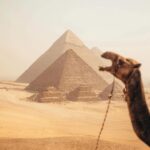 Gallery Thumbnail 6