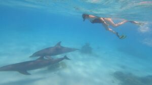 Hurghada snorkeling trips Red Sea